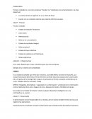 Analisis de un sistema contable micro-empresa “Escobar S.A”