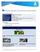 Producción, organización y mercadotecnia en un plan de negocios