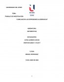 COMO NACEN LAS EXPRESIONES ALGEBRAICAS