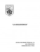 La Adolescencia