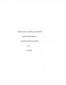 Extraccion a rajo abierto