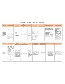 ESQUEMA DE VACUNACIÓN NORMAL