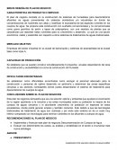 BREVE RESEÑA DE PLAN DE NEGOCIO