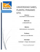 Definicion de proyecto