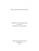 Ensayo “La importancia de las redes de transporte”