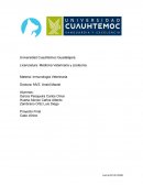 Inmunología Veterinaria. Caso clínico