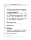 Condiciones y características de la escuela secundaria