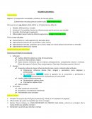 Marketing operacional