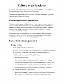 Cultura organizacional. Importancia de la cultura organizacional
