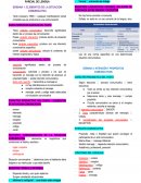 RESUMEN PARCIAL LENGUA