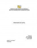 Presupuesto de Capital