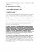 TRABAJO PRÁCTICO: SISTEMA AMBIENTAL Y CONFLICTIVIDADES