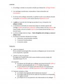 Cuestionario anatomía