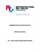 RESUMEN HENRY MINTZBERG