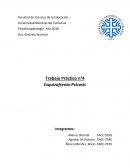 Psicofisiología. La Esquizofrenia