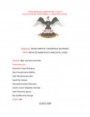 IMPACTOS AMBIENTALES-ANÁLISIS DEL VIDEO