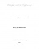 ESTUDIO DE CASO “LA IMPORTANCIA DE APRENDER UN IDIOMA”