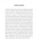 Conclusion malla curricular