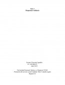 Situación diagnostica propuesta por el tutor del curso de prestación de servicio social Unadista