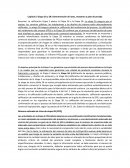 Etapas de validacion