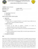 Coagulación y floculacion