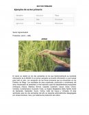 Sector Agroindustrial Productos: (arroz – café)