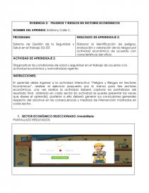 EVIDENCIA 2: PELIGROS Y RIESGOS EN SECTORES ECONÓMICOS. Página 1