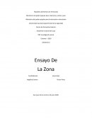 Ensayo De La Zona