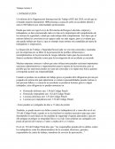 Sentencia judicial de un accidente laboral: responsabilidades en materia preventiva