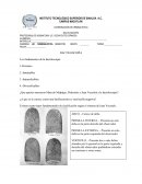 COORDINACIÓN DE CRIMINALISTICA DACTILOSCOPÍA