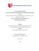 Gestión de Seguridad para Reducir la Accidentabilidad en la Empresa Peru Tintex SAC. San Martin de Porres, 2020