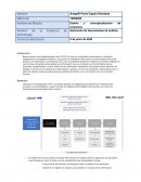 Aplicación de herramientas de análisis COVID-19