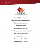 Brief. Introducción a la Investigación de Mercado