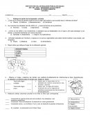 EXAMEN DE PRIMER BIMESTRE HISTORIA I s/r