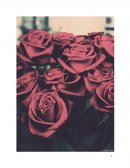 El Arte de Amar Parte 2