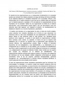 Organizaciones, estructura, procesos y resultados