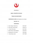 Importaciones de Smartphones por parte de las empresas peruanas en el año 2019