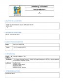 Reporte de auditoria LWL