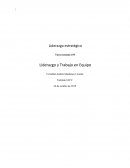 Liderazgo estratégico Tarea semana n°8