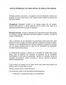 GUÍA DE APRENDIZAJE DE CURSO VIRTUAL DE AGRICULTURA URBANA