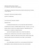 LOS PADRES DEL DERECHO INTERNACIONAL PUBLICO