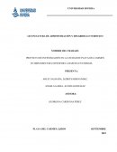 PROYECTO DE INVESTIGACIÓN EN LA CIUDAD DE PLAYA DEL CARMEN EN IMPLEMENTAR CONVERTIR LA BASURA EN ENERGÍA