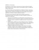 Estrategias Gerenciales. EMPRESA LATAM Airlines