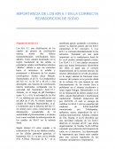 IMPORTANCIA DE LOS KIR 4.1 EN LA CORRECTA REABSORCION DE SODIO.