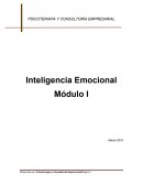 Manual Inteligencia Emocional