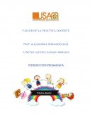 Introduccion de la practica docente
