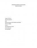 Manual de organización DKDA