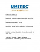 Matriz de fuerzas, Oportunidades, Debilidades y Amenazas, FODA