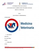GLOSARIO DE EPIDEMIOLOGIA Y SALUD PÚBLICA
