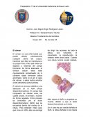 Genética (Actividad de Aplicación)